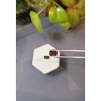 4.23&nbsp;Ct.Tw.Total Carat Weight Garnet Pair from Madagascar Life Style