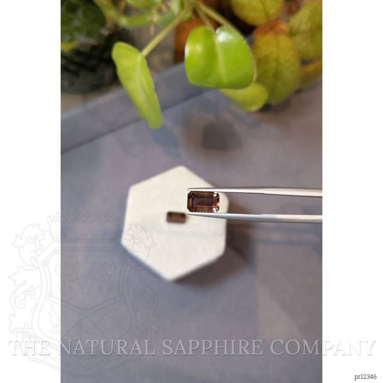 4.23 Ct.Tw. Garnet Pair from Madagascar