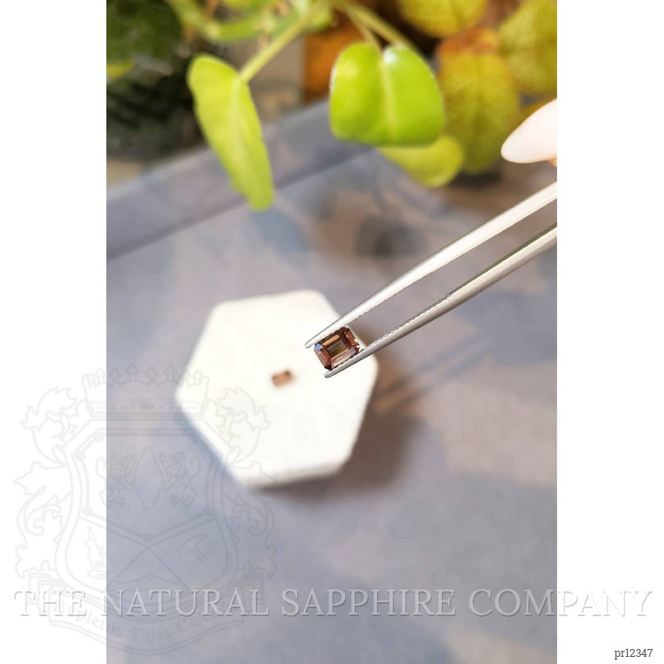 1.94 Ct.Tw. Garnet Pair from Madagascar