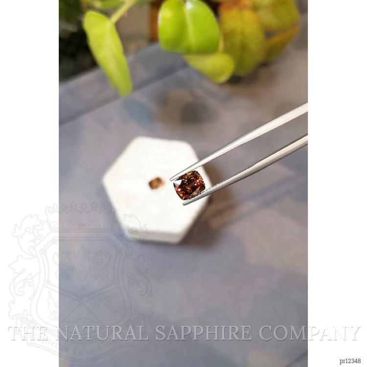 3.66 Ct.Tw. Garnet Pair from Madagascar