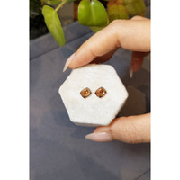 3.66&nbsp;Ct.Tw.Total Carat Weight Garnet Pair from Madagascar Life Style