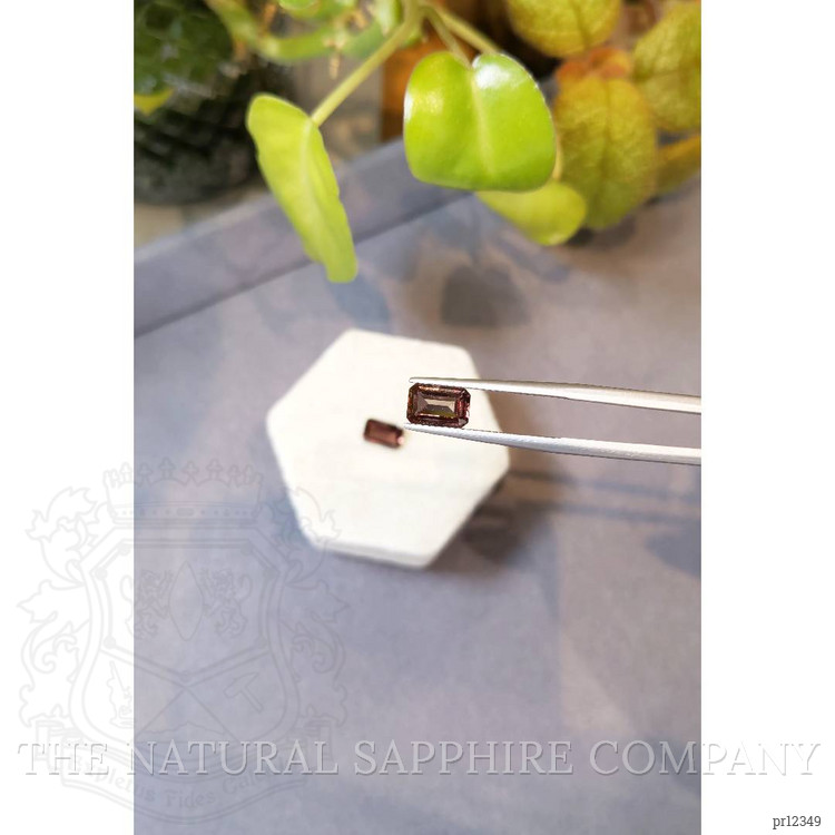 3.20 Ct.Tw. Garnet Pair from Madagascar