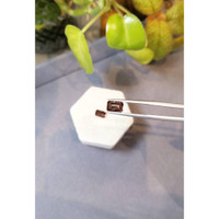 3.20&nbsp;Ct.Tw.Total Carat Weight Garnet Pair from Madagascar Life Style