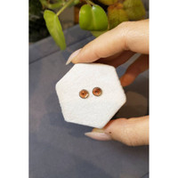 2.97 Ct.Tw.Total Carat Weight Garnet Pair from Madagascar Life Style