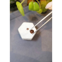 2.97&nbsp;Ct.Tw.Total Carat Weight Garnet Pair from Madagascar Life Style