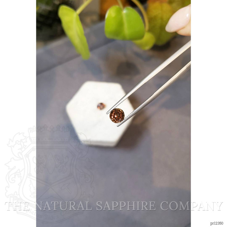 2.97 Ct.Tw. Garnet Pair from Madagascar