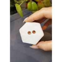 2.97&nbsp;Ct.Tw.Total Carat Weight Garnet Pair from Madagascar Life Style