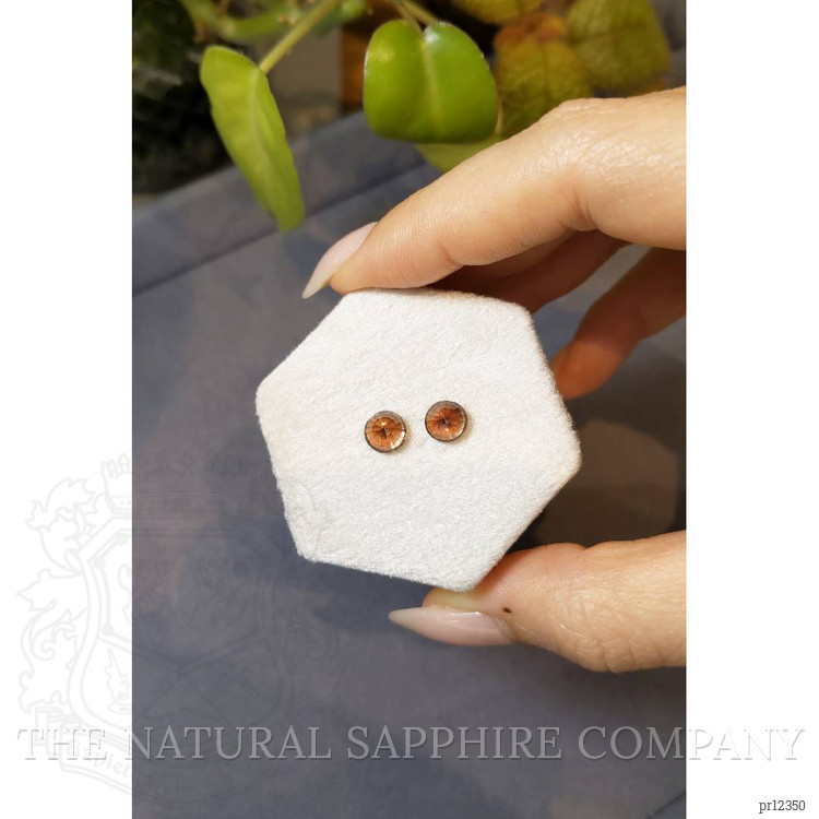 2.97 Ct.Tw. Garnet Pair from Madagascar