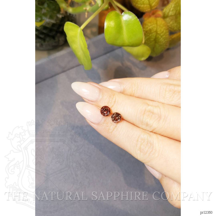 2.97 Ct.Tw. Garnet Pair from Madagascar