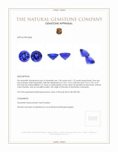 3.33 Ct.Tw.Total Carat Weight Violet Tanzanite Pair from Tanzania Appraisal