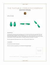 6.75 Ct.Tw.Total Carat Weight Emerald Pair from Colombia Appraisal