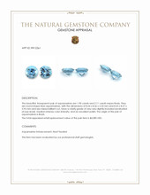 4.01 Ct.Tw.Total Carat Weight Blue Aquamarine Pair from Brazil Appraisal