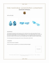 18.70 Ct.Tw.Total Carat Weight Topaz Pair from Brazil Appraisal