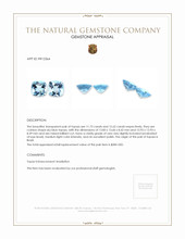 24.35 Ct.Tw.Total Carat Weight Sky Blue Topaz Pair from Brazil Appraisal
