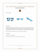 24.35 Ct.Tw.Total Carat Weight Sky Blue Topaz Pair from Brazil Appraisal