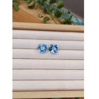 24.35&nbsp;Ct.Tw.Total Carat Weight Topaz Pair from Brazil Life Style