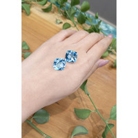 24.35 Ct.Tw.Total Carat Weight Topaz Pair from Brazil Life Style