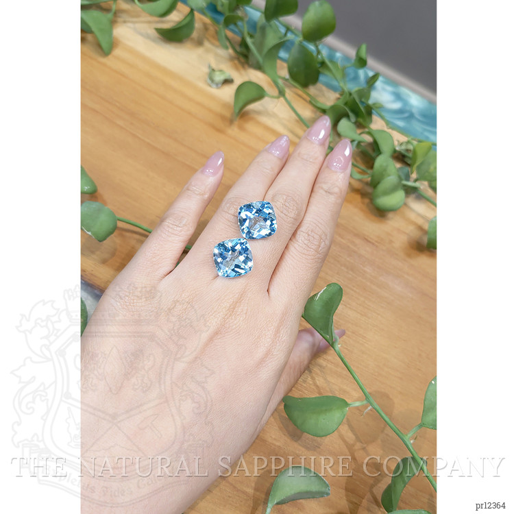 24.35 Ct.Tw. Topaz Pair from Brazil