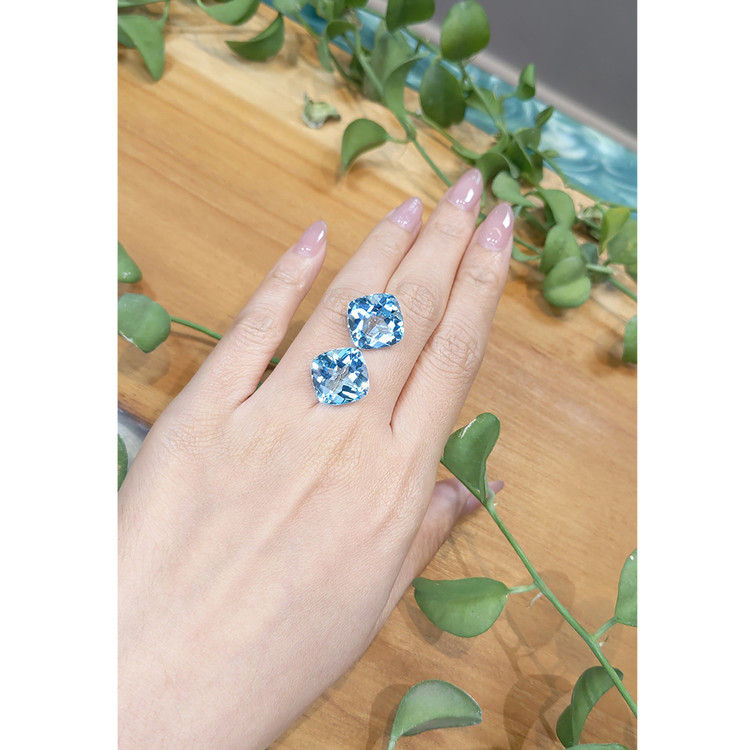 24.35 Ct.Tw. Topaz Pair from Brazil