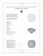 24.35 Ct.Tw.Total Carat Weight Sky Blue Topaz Pair from Brazil 3 D Scan Report