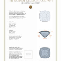 24.35&nbsp;Ct.Tw.Total Carat Weight Topaz Pair from Brazil 3 D Scan Report