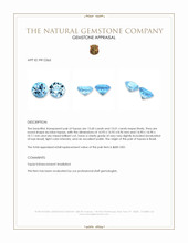 28.61 Ct.Tw.Total Carat Weight Sky Blue Topaz Pair from Brazil Appraisal