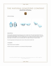 21.76 Ct.Tw.Total Carat Weight Sky Blue Topaz Pair from Brazil Appraisal