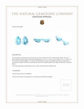 18.20 Ct.Tw.Total Carat Weight Sky Blue Topaz Pair from Brazil Appraisal