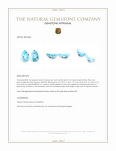 18.20 Ct.Tw.Total Carat Weight Sky Blue Topaz Pair from Brazil Appraisal