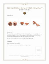 1.87&nbsp;Ct.Tw.Total Carat Weight Topaz Pair from Brazil Appraisal