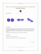 1.03 Ct.Tw.Total Carat Weight Violet Tanzanite Pair from Tanzania Appraisal