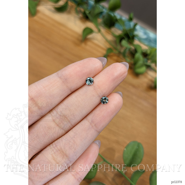 0.85 Ct.Tw. Green Sapphire Pair from Montana