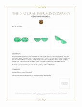 0.92 Ct.Tw.Total Carat Weight Emerald Pair from Zambia Appraisal