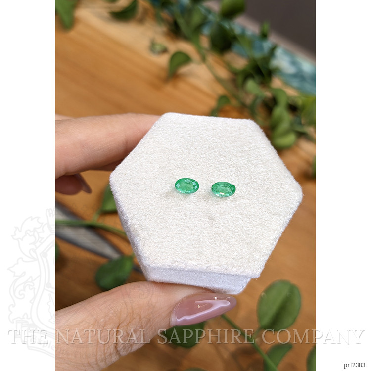 0.92 Ct.Tw. Emerald Pair from Zambia