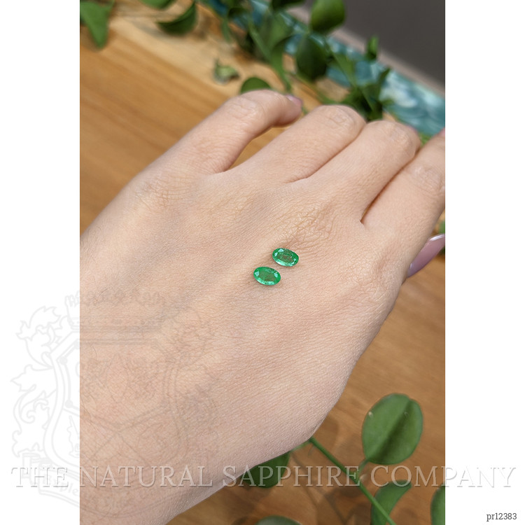 0.92 Ct.Tw. Emerald Pair from Zambia
