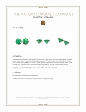 0.18 Ct.Tw.Total Carat Weight Emerald Pair from Zambia Appraisal
