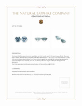 1.37&nbsp;Ct.Tw.Total Carat Weight Greenish Blue Sapphire Pair from Montana Appraisal