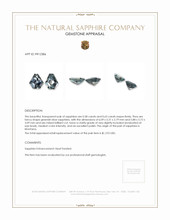 1.21 Ct.Tw.Total Carat Weight Greenish Blue Sapphire Pair from Montana Appraisal