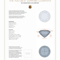 0.66 Ct.Tw.Total Carat Weight Blue Sapphire Pair from Ceylon (Sri Lanka) 3 D Scan Report