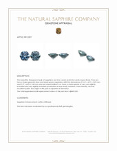 1.12 Ct.Tw.Total Carat Weight Greenish Blue Sapphire Pair from Montana Appraisal