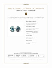 Jewelry Scan Report