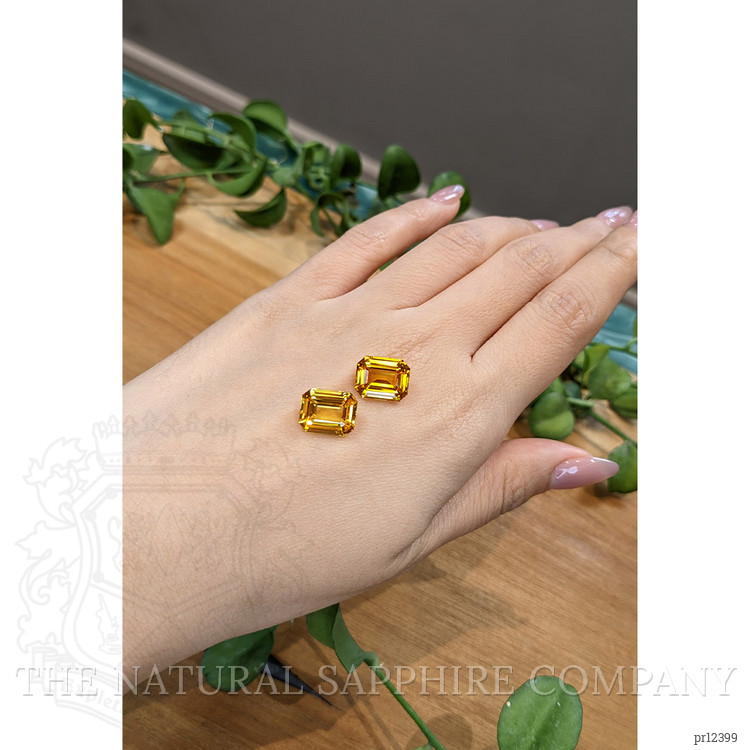 13.89 Ct.Tw. Yellow Sapphire Pair from Ceylon (Sri Lanka)