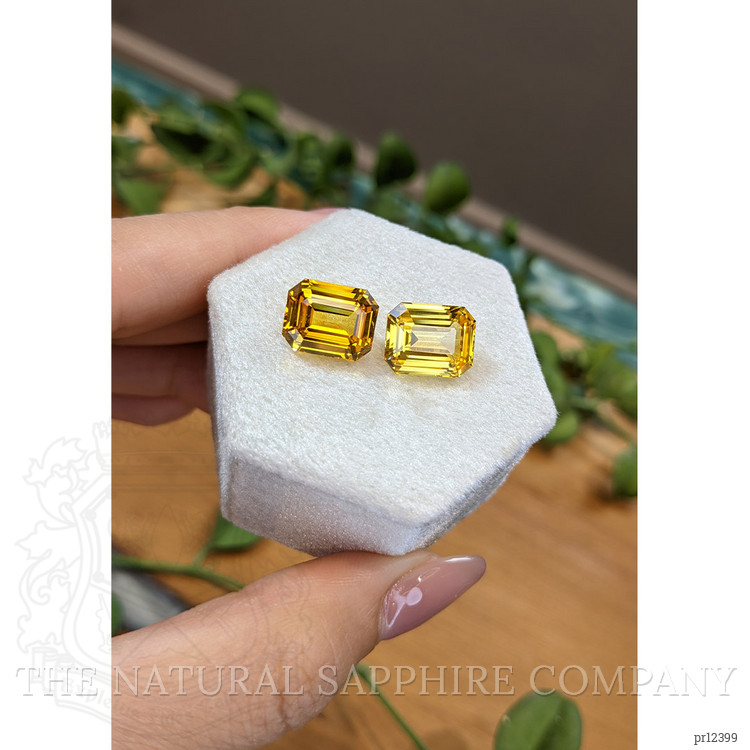 13.89 Ct.Tw. Yellow Sapphire Pair from Ceylon (Sri Lanka)