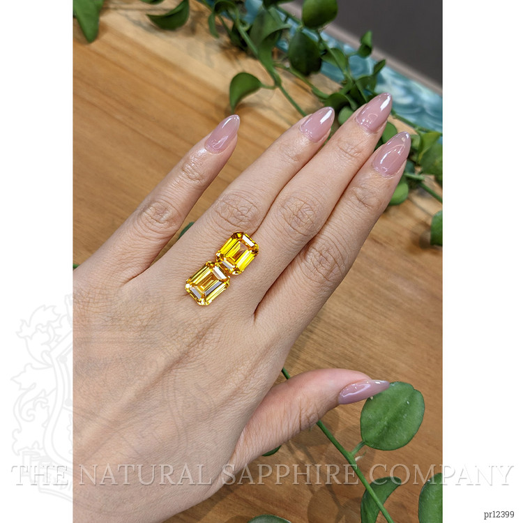 13.89 Ct.Tw. Yellow Sapphire Pair from Ceylon (Sri Lanka)