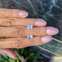 3.26&nbsp;Ct.Tw.Total Carat Weight Pink Sapphire Pair from Ceylon (Sri Lanka) Life Style