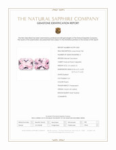 Jewelry Scan Report