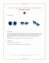 1.64 Ct.Tw.Total Carat Weight Blue Sapphire Pair from Montana Appraisal