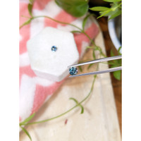 1.65&nbsp;Ct.Tw.Total Carat Weight Greyish Blue Sapphire Pair from Montana Life Style