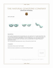 23.15 Ct.Tw.Total Carat Weight Aquamarine Pair from Brazil Appraisal