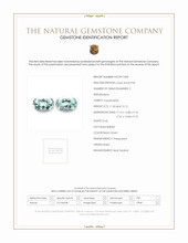 23.15 Ct.Tw.Total Carat Weight Bluish Green Aquamarine Pair from Brazil Scan Report